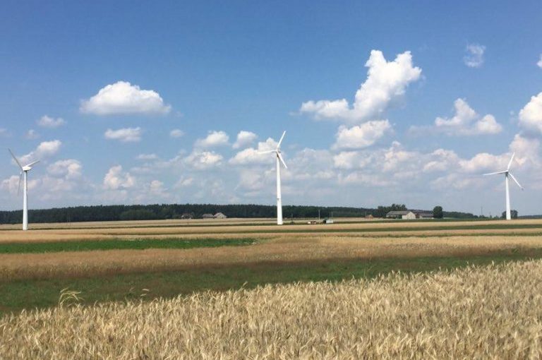 Elektrownia wiatrowa koło Radomska
